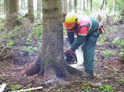 wood shim preparation